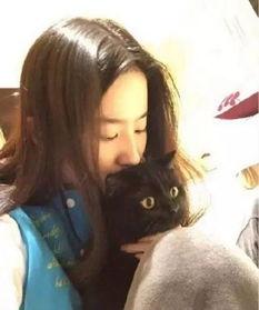 娱乐圈吃瓜刘亦菲微博,娱乐圈幕后故事大揭秘